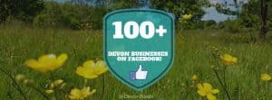 100 devon businesses on social media