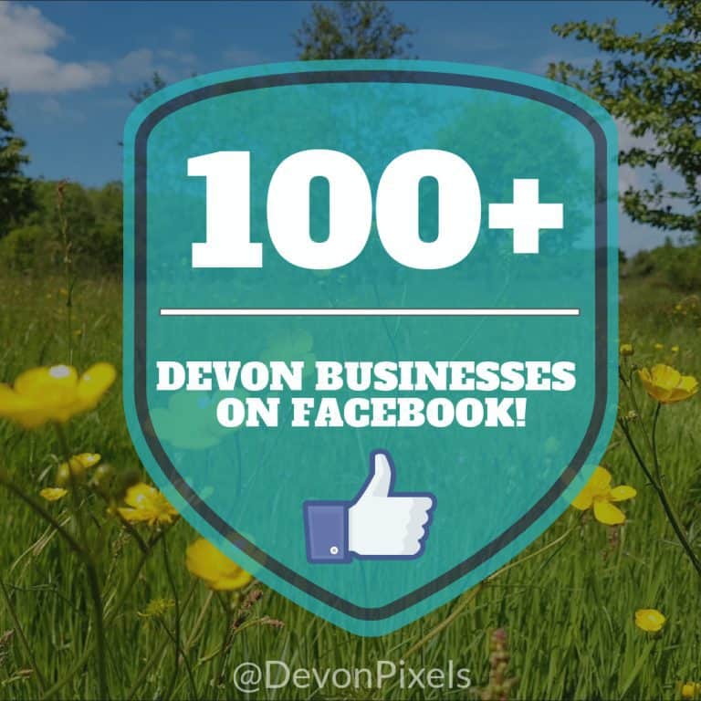 100 Devon Businesses on facebook